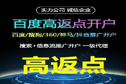 百度推广在电商行业的成功案例